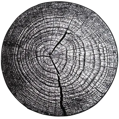 Dywan Novo 100x100 cm Okrągły Miękki Do Salonu - Szary Pień