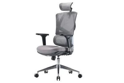 Fotel Ergonomiczny ANGEL Biurowy Obrotowy Dakota 2.0 - Grafitowy