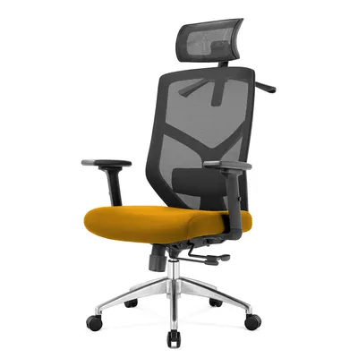 Fotel Ergonomiczny ANGEL Biurowy Obrotowy Astro