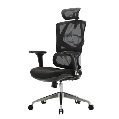 Fotel Ergonomiczny ANGEL Biurowy Obrotowy Dakota 2.0