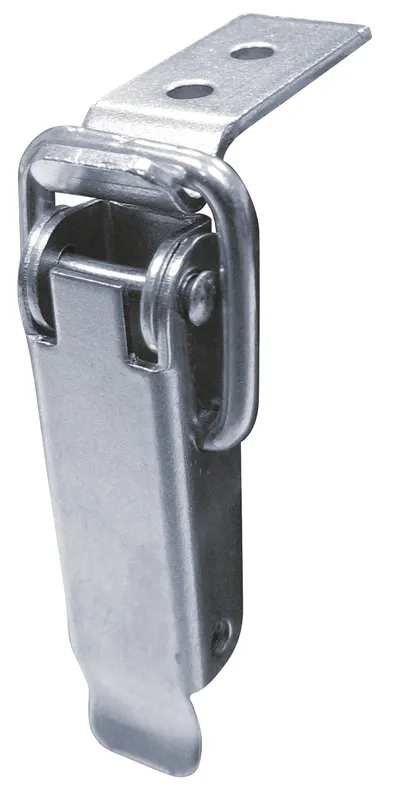 Zamknięcie Do Skrzyń Ocynkowane Z Hakiem Typu D 55*13MM HSI