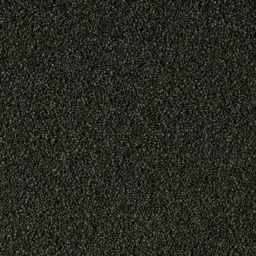 Tropical Super Spirulina Forte Mini Granulat 250ml