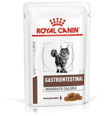 ROYAL CANIN Gastrointestinal Moderate Calorie 12x85g