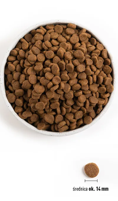 Orijen Senior 11,4kg