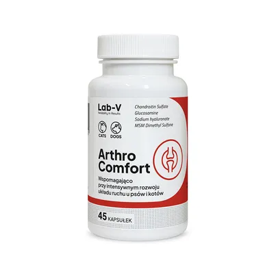 Lab-V Arthro Comfort Kompleksowe Wsparcie Zdrowia Stawów I Układu Ruchu Dla Psów I Kotów 45 Kapsułek