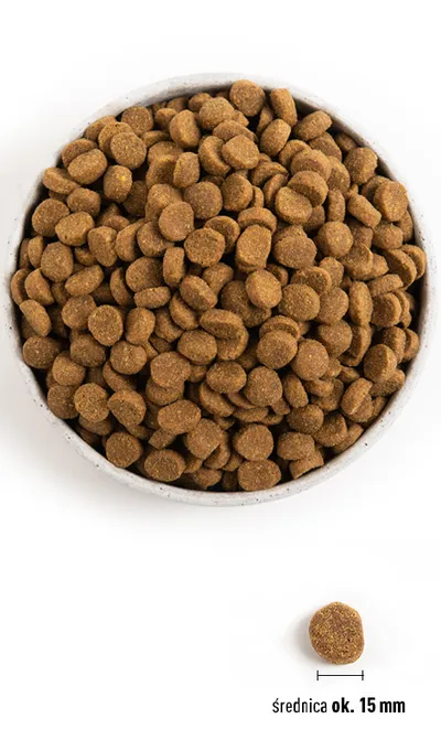 ACANA Puppy Large Breed 17kg