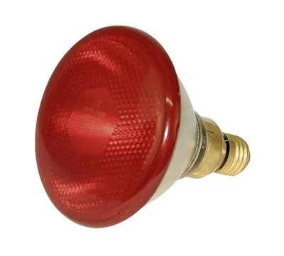 KERBL Żarówka Promiennika 100W - Czerwona