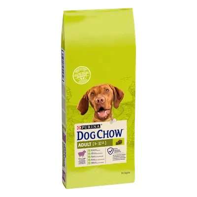 Purina Dog Chow Adult Z Jagnięciną 14kg