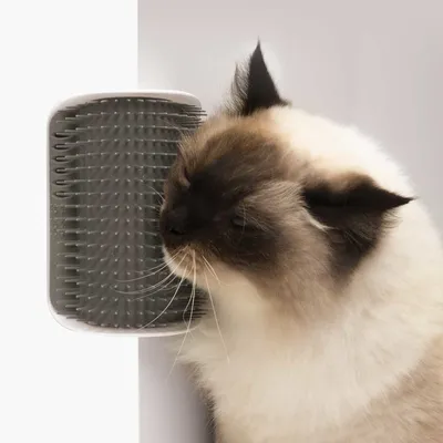 CATIT Self Groomer Szczotka Narożna Dla Kota Do Samodzielnej Pielęgnacji, Montowana Do Ściany