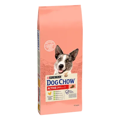 Purina Dog Chow Active Adult Z Kurczakiem 14kg
