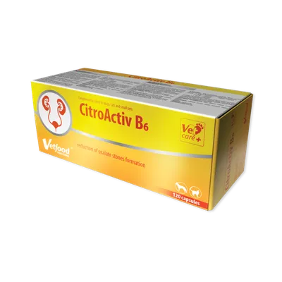 VETFOOD Uroforce Plus 120TAB