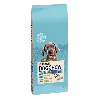 Purina Dog Chow Large Breed Puppy Z Indykiem 14kg