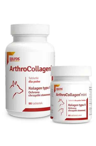 Dolfos ArthroCollagen 90 Tabletek