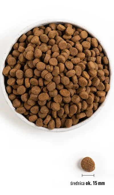 Orijen Dog Puppy Large 11,4kg