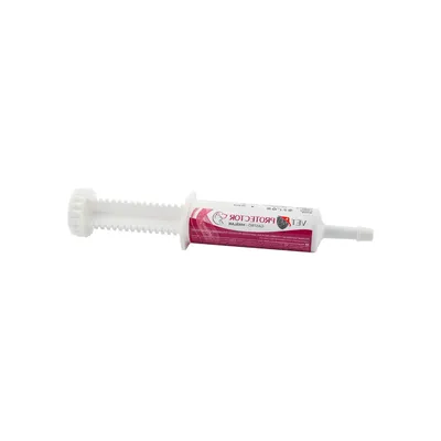 Pasta Dla Psów I Kotów Na Układ Pokarmowy ZOOJOY Vet Protector 60 ml