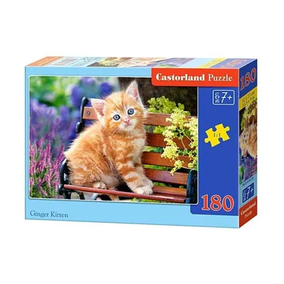 Puzzle 180 el. Ginger Kitten CASTOR