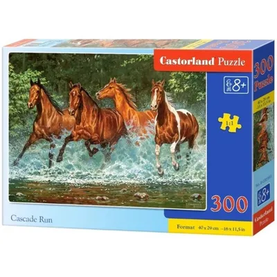 Puzzle Cascade Run 300 CASTOR