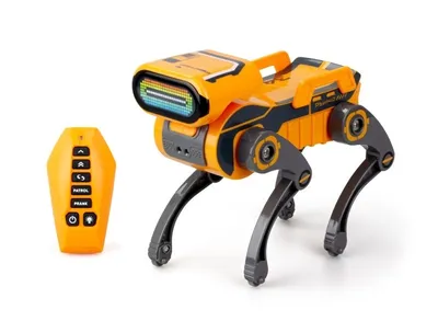 Robo Express Dog