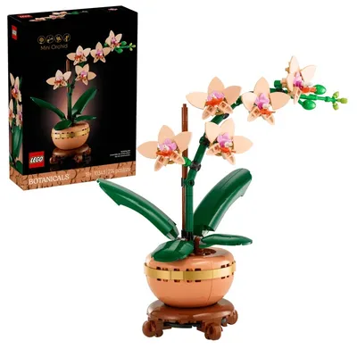 Botanicals Mała Orchidea