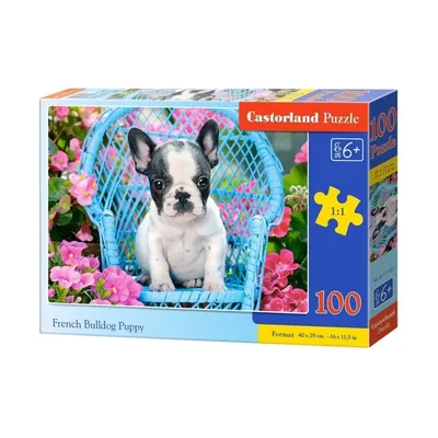Puzzle 100 French Bulldog Pupy CASTOR