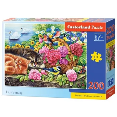 Puzzle 200 Lazy Sunday CASTOR