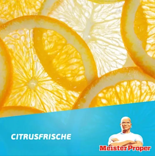 Meister PROPER Citrus Uniwersalny Spray Czyszczący 800 ml