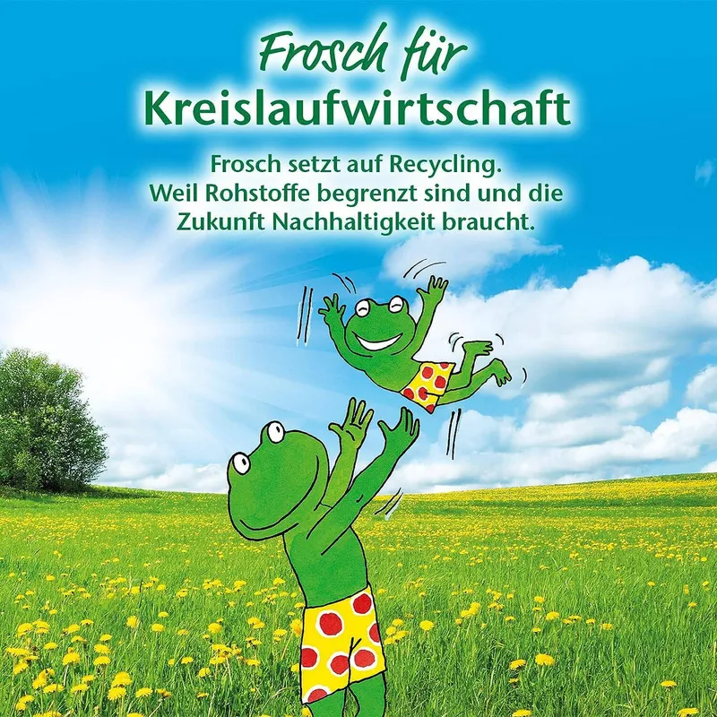 FROSCH WC-Reiniger Zitrone Żel WC 750 ml