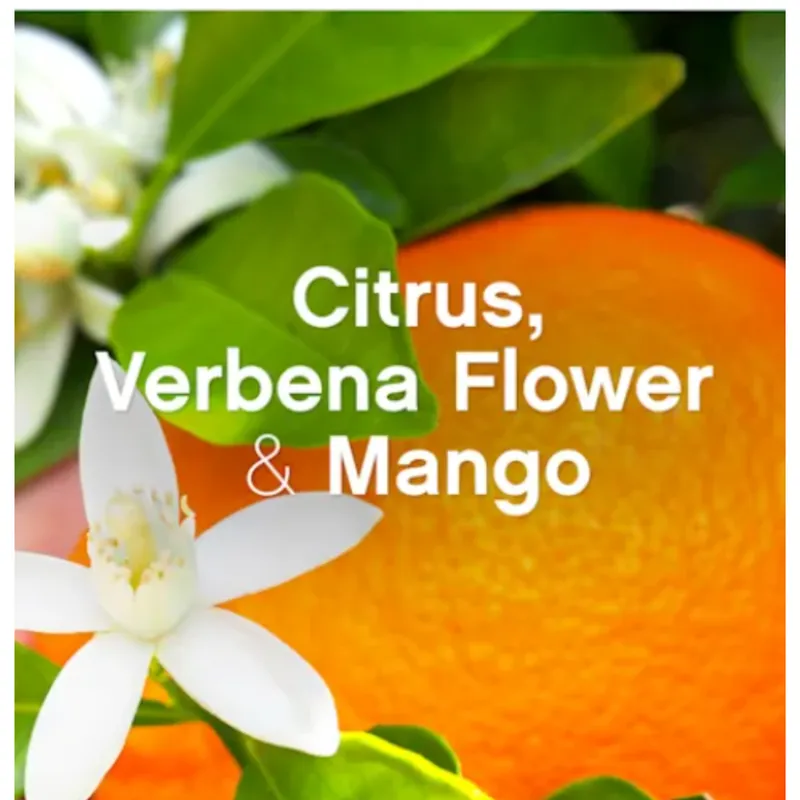 LENOR Energize Citrus &White Verbena Płyn Do Płukania 42 Prania