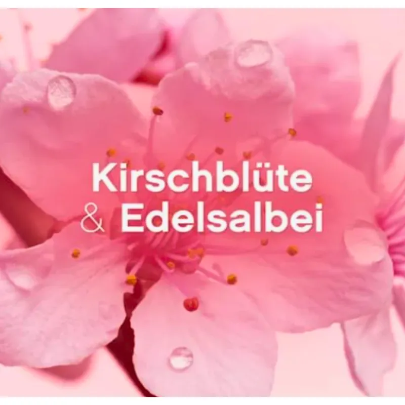 LENOR Kirschblüte & Edelsalbei Płyn Do Płukania 59 Prań