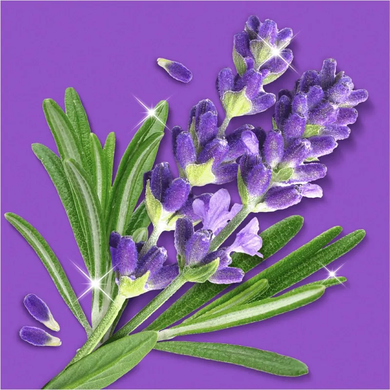 MR.PROPRE Lavendel & Rozemarijn Spray Multifunkcyjny 800 ml
