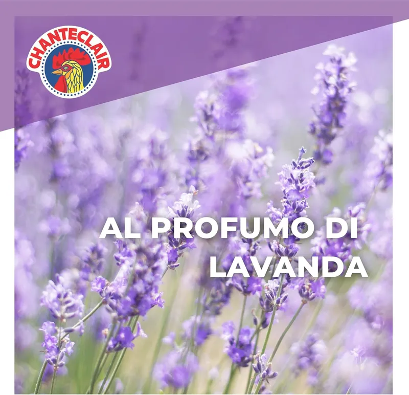 CHANTECLAIR Sagrassatore Odtłuszczacz Lavanda Opakowanie Uzupełniające 600 ml