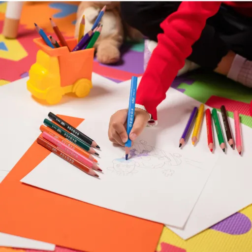 BIC Kids Evolution Triangle ECOlutions Kredki Ołówkowe Pudełko 10+2 Sztuk