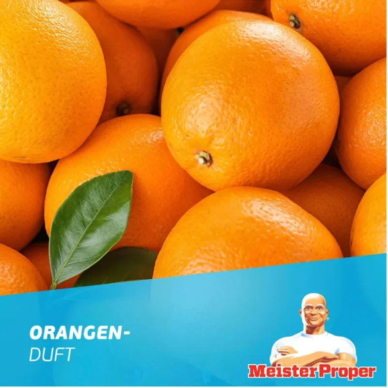 Meister PROPER Fettentferner Orange Środek Do Czyszczenia Kuchni 800 ml