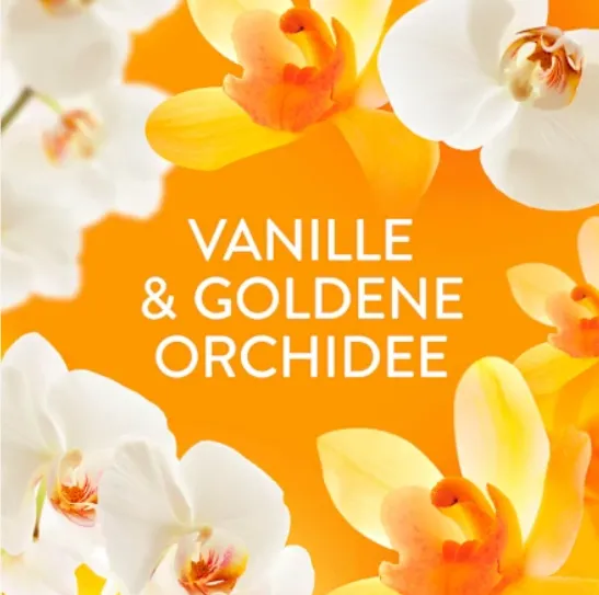 LENOR Goldene Orchidee Płyn Do Płukania 36 Prań