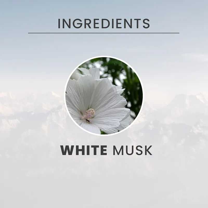TESORI D'ORIENTE Muschio Bianco Mgiełka Do Ciała 200 ml