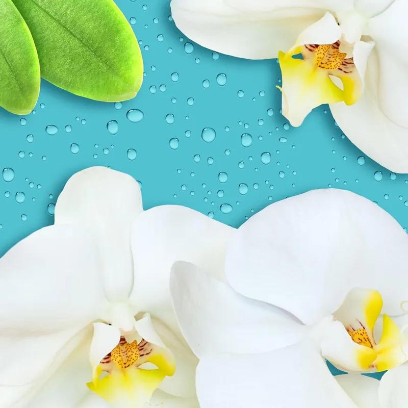 VIAKAL Bagno Express Fiori Bianco Środek Czyszczący Do Kabin Prysznicowych 470 ml