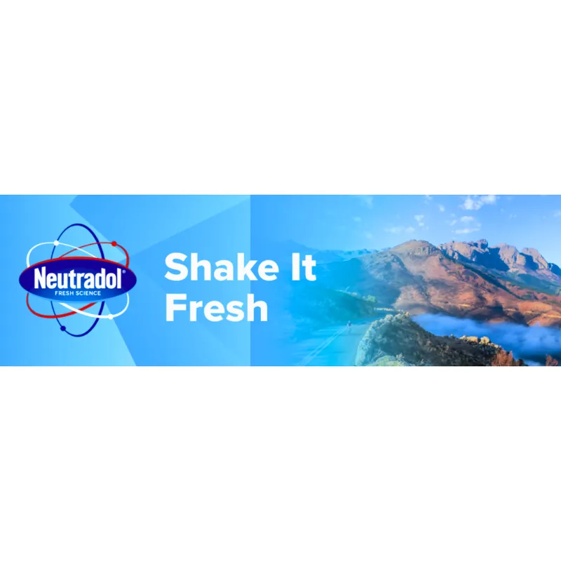 NEUTRADOL Shake It Fresh Original Neutralizator Zapachów Do Dywanów 350 g