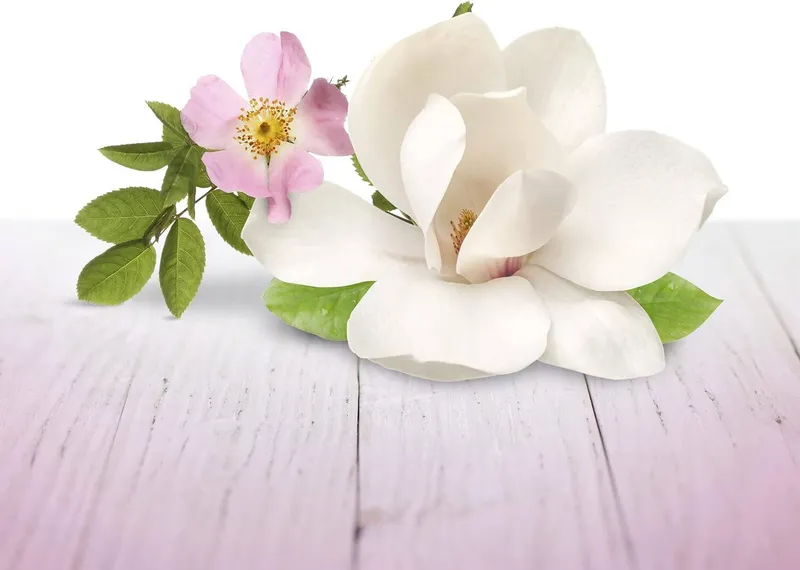AIR WICK Blutenfrische Fleurs Odświeżacz W Żelu 150 g
