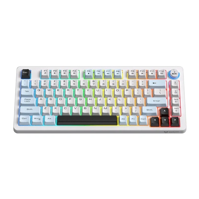 Klawiatura Gamingowa ONIKUMA MT501 81 Klawiszy RGB - Biała