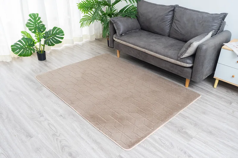 Dywan Rabbit 220x160 cm Do Salonu I Sypialni - Beżowy