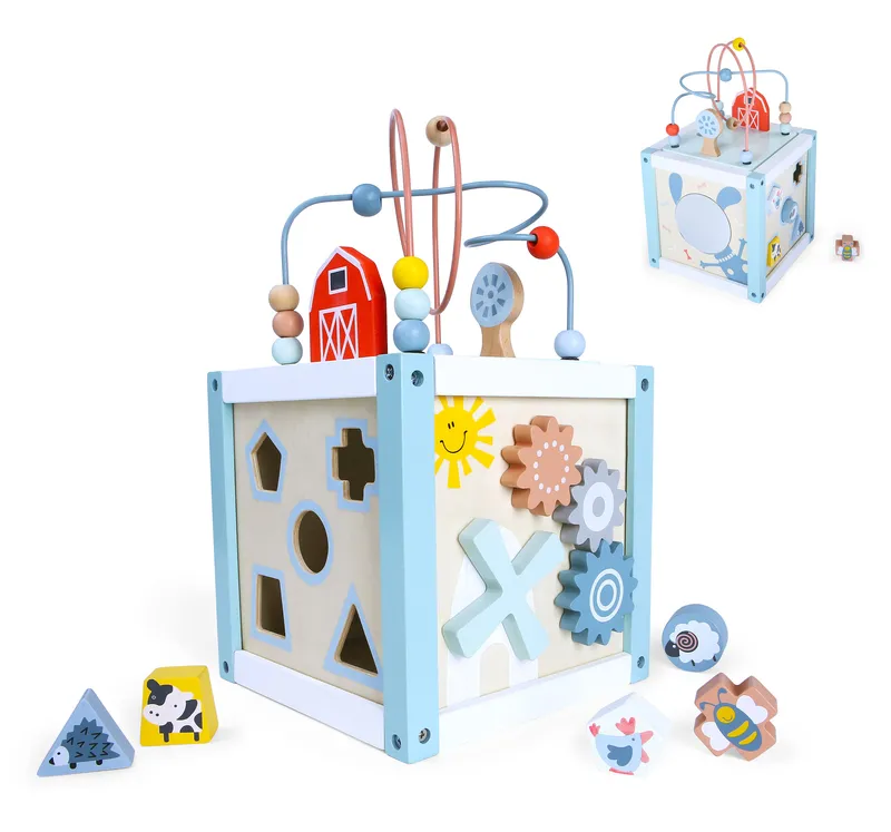 Zabawka Kostka Edukacyjna Sorter +klocki Polecana Kolorowa