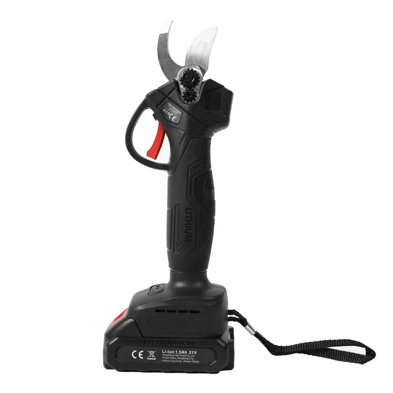 Areator Do Trawy Elektryczny Wertykulator 2w1 250W Regen