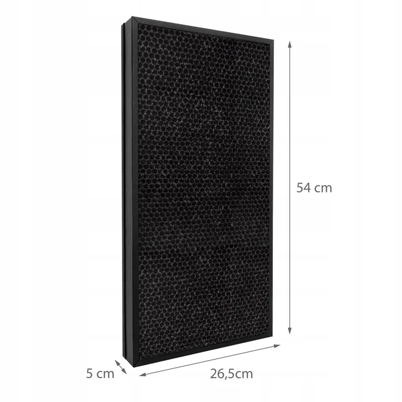 Filtr Do Oczyszczacza Powietrza AP9900 (2 szt - Komplet)