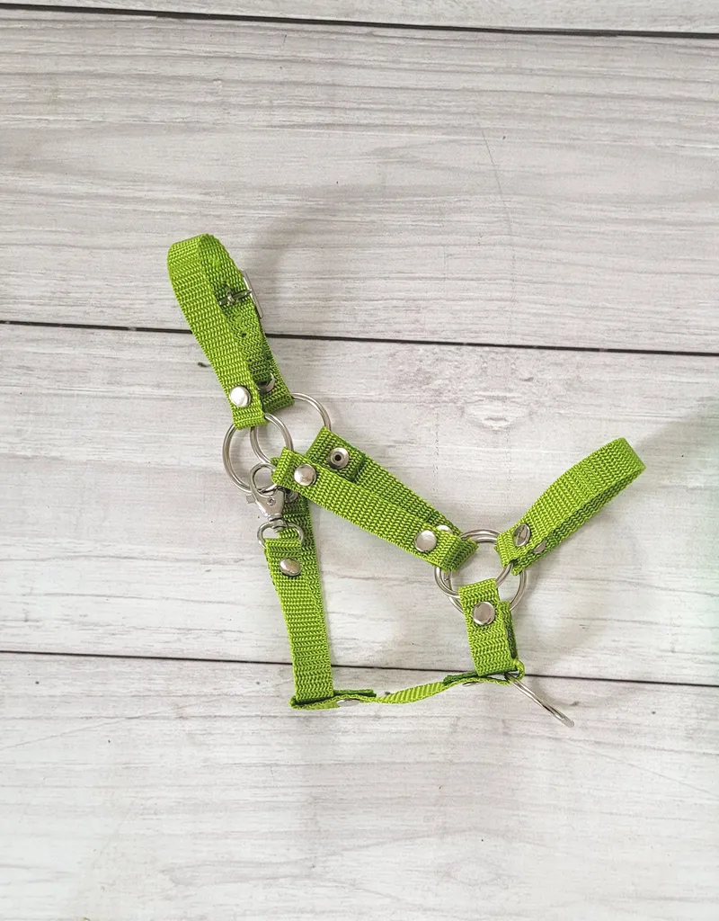 Kantar Regulowany Dla Konia Hobby Horse Limonka TUM-TUM