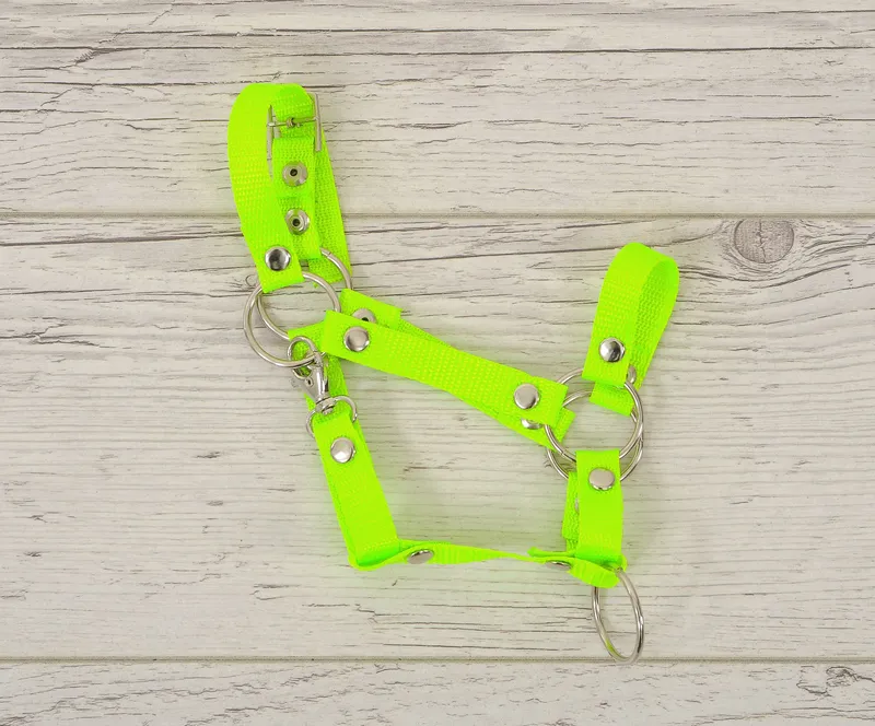 Kantar Regulowany Dla Konia Hobby Horse Neon Green TUM-TUM