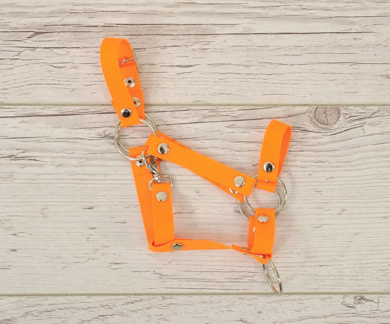 Kantar Regulowany Dla Konia Hobby Horse Neon Orange TUM-TUM