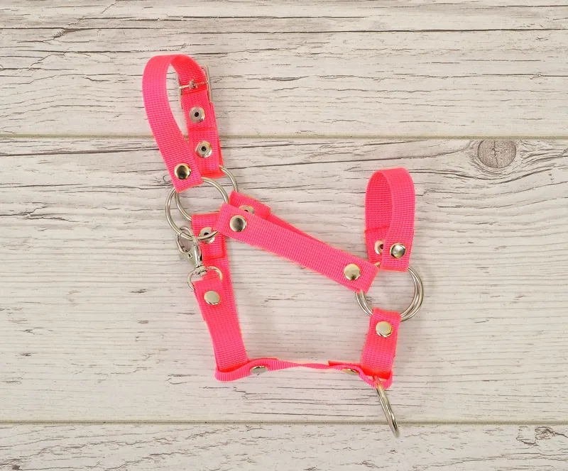 Kantar Regulowany Dla Konia Hobby Horse Neon Pink TUM-TUM