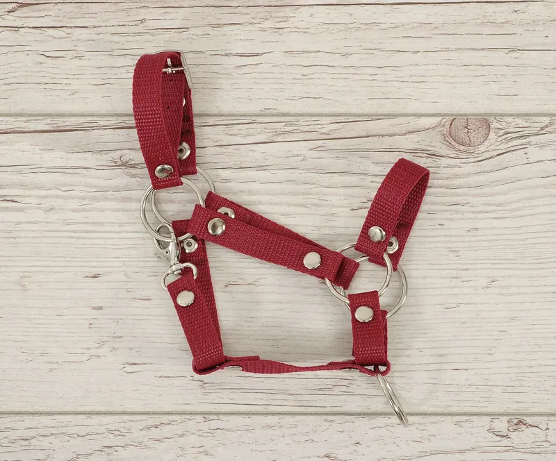 Kantar Regulowany Dla Konia Hobby Horse TUM-TUM - Bordowy