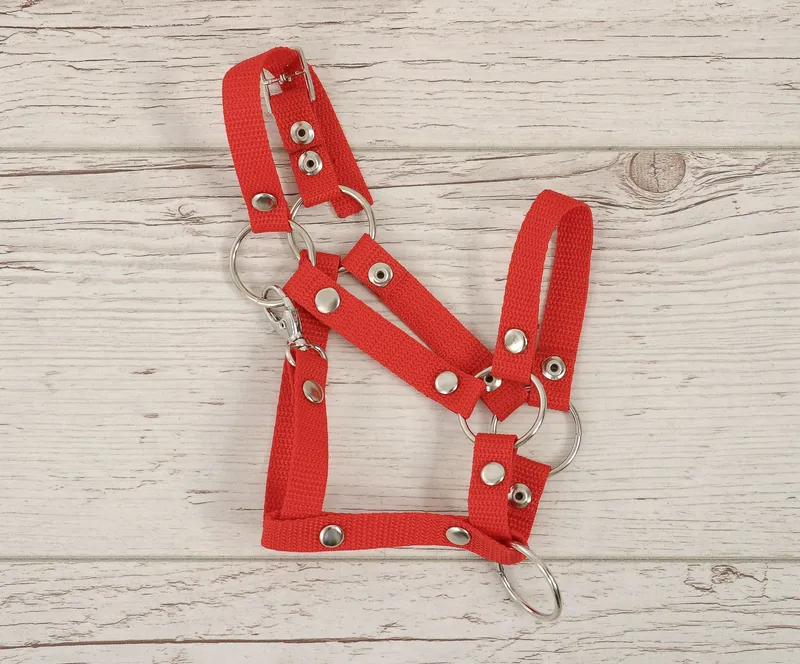Kantar Regulowany Dla Konia Hobby Horse TUM-TUM - Czerwony