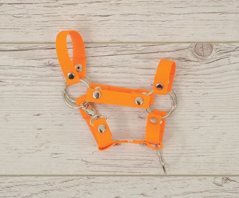 Kantar Dla Konia Hobby Horse Uniwersalny Zapinany Neon Orange TUM-TUM
